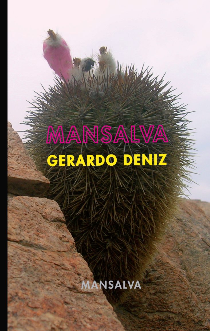 Gerardo Deniz - Mansalva